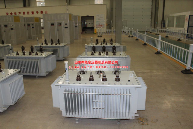 白朗50KVA油浸式变压器